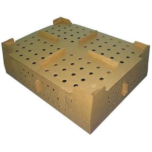 a 100 count poultry shipping box